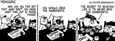 Wombania comic strip preview 1