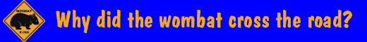 Wombat novelties, gifts, and merchandise