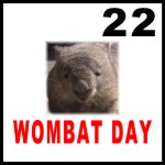 Wombat Day Sticker version 1 Wombat Day Sticker version 1