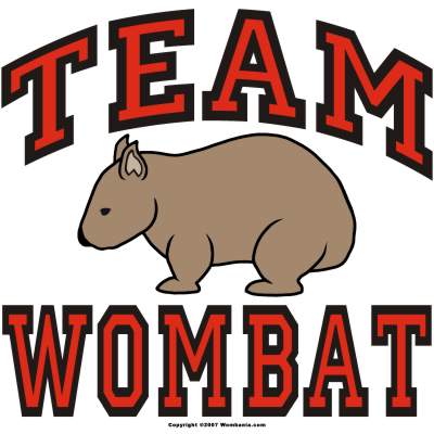Team Wombat Design Team Wombat Design