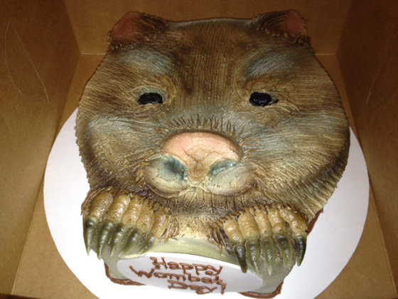 Realistic Wombat Day cake made by Lelie