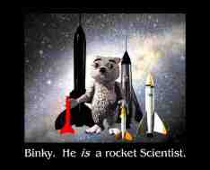 Binky Rocket Scientist Poster