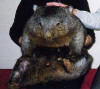 Bare-nosed wombat's size compared to a person