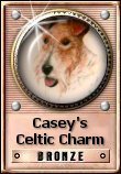 Casey's Celtic Charm Bronze Award