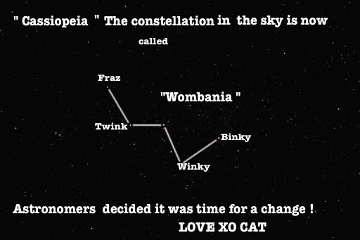 The Wombania Constellation by Cat Forsley