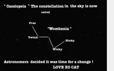 The Wombania Constellation by Cat Forsley