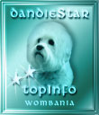 DandieStar **TopInfo Award