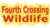 Fourth Crossing Wildlife Link