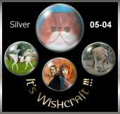 It's Wishcraft Silver Award