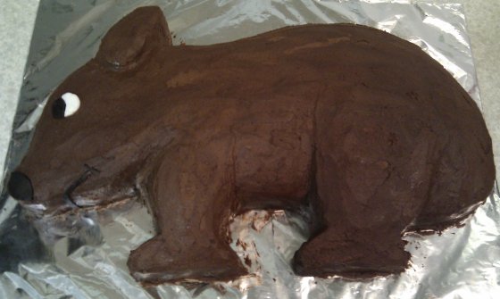 Judy's "Harry the Wombat" cake made by Jeremy