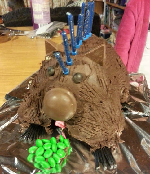 Wombat birthday cake
