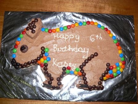Wombat Birthday Cake