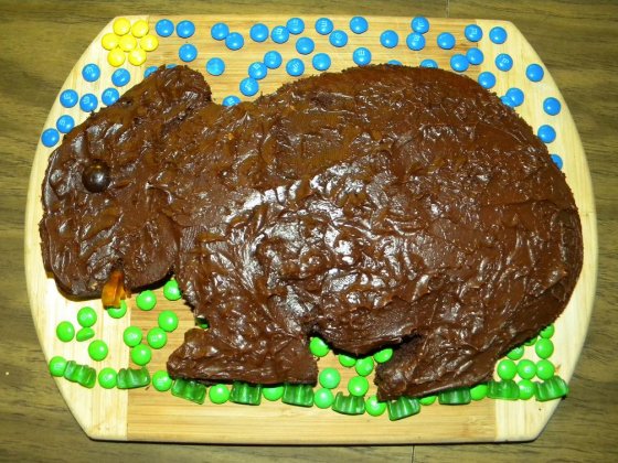 Wombat cake made by Sierra