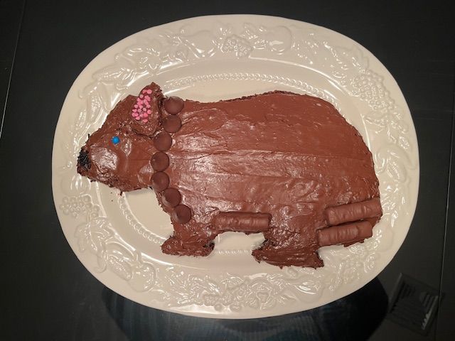 Wombat Day cake made by Sadie
