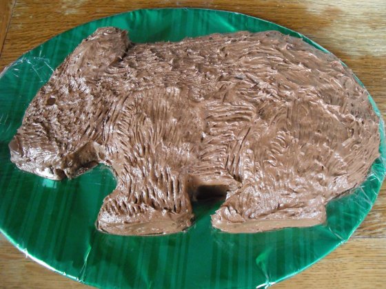 Wombat Day Cake by Kim